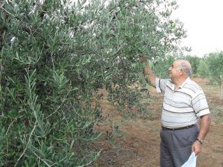 Immagine allegata alla scheda. Per averne una descrizione leggere i dettagli più in basso.